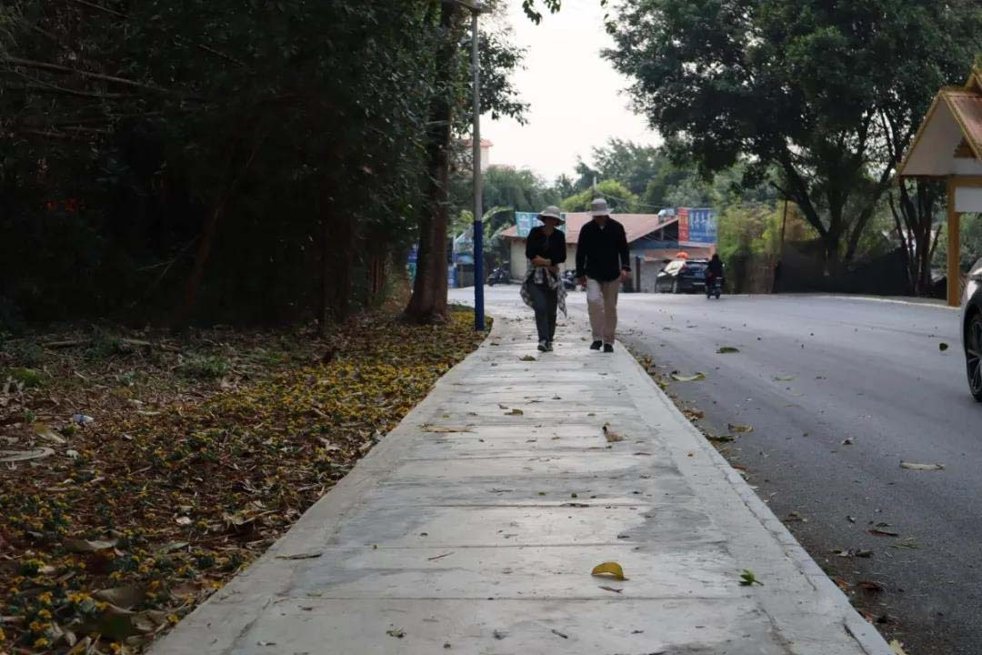 建好一条小步道，一枝一叶关民情