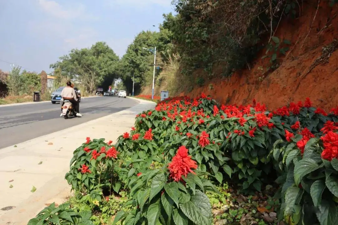 建好一条小步道，一枝一叶关民情