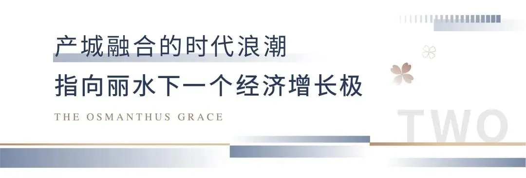 2021，奔腾的丽水经开区，磅礴向前的南城未来