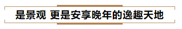 震惊！太子湖国际社区居然还规划有如此“全能”的“景观”，太“凡尔赛”啦！