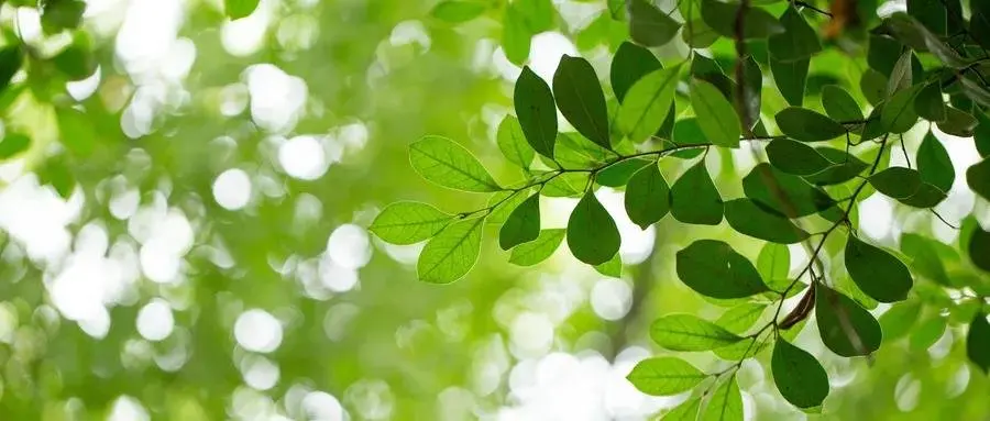 鳳天路與華盛路交匯處 400-176-0760 轉 848285