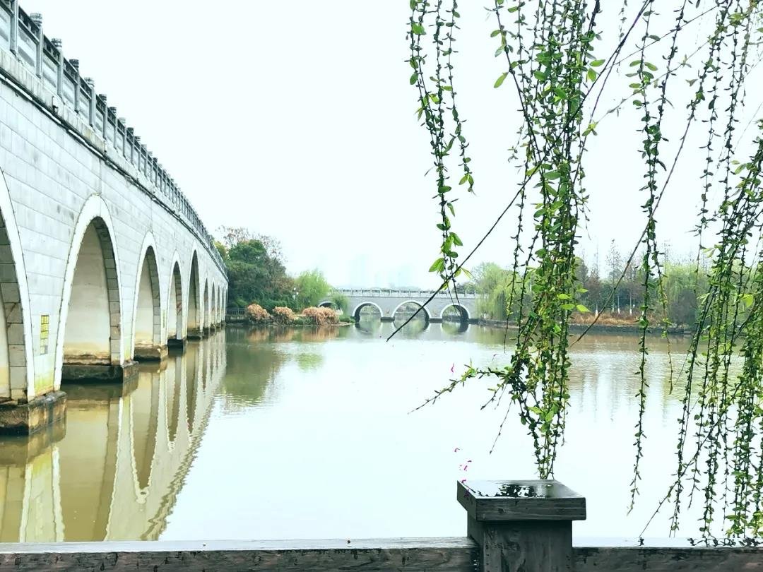 又是花红柳绿时，踏春后河人文谷