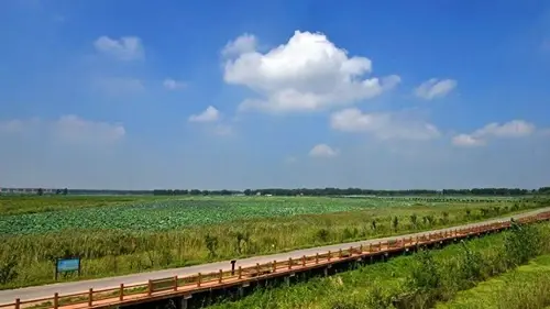 旅游部门梳理多条家门口踏青赏花路线 一元钱可玩转蚌埠春天