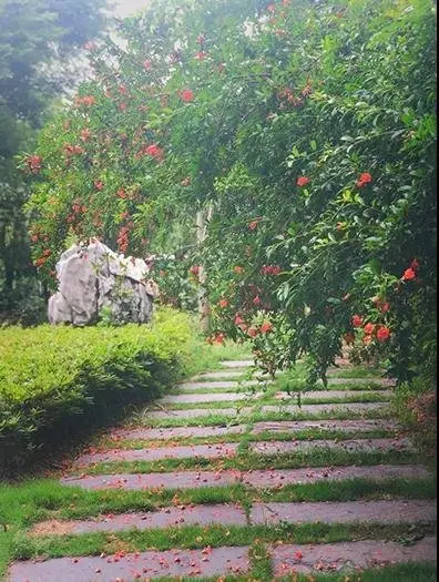 湖畔风物已春分 黄石公园芳菲盛