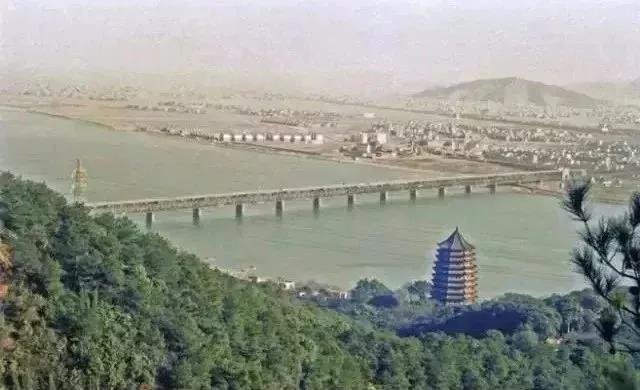 二十年前，看杭州滨江！如今，看丽水南城！