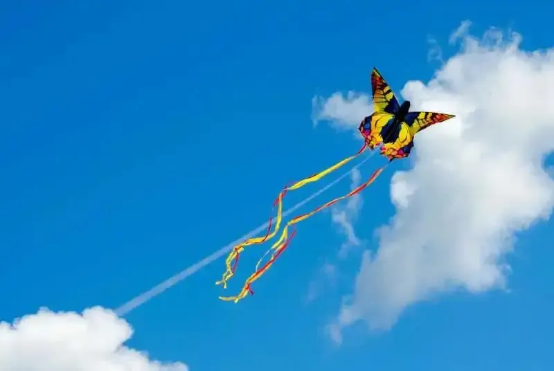 华悦昶龙壹号院邀您参加风筝文化节