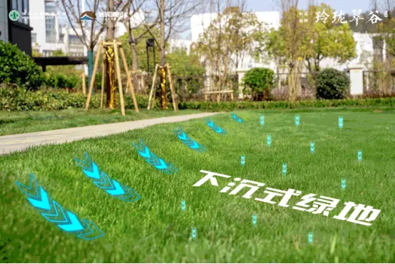 的同事,将雨水回收,结合回收系统二次浇灌,节能环保;     下沉式绿地