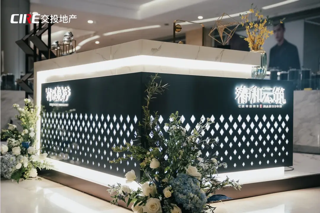 双盘联袂 星辉共耀