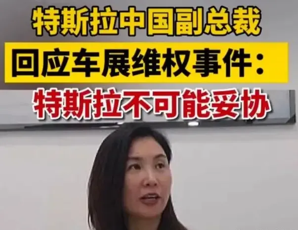 特斯拉车展事件越来越奇怪你觉得刹车到底有没问题