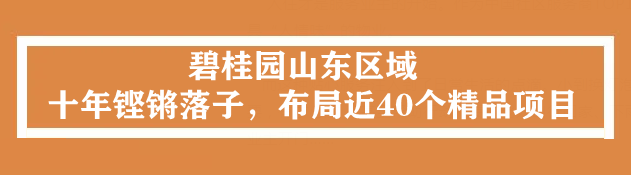 碧桂园：与时代同频·以匠心助力州城美好生活