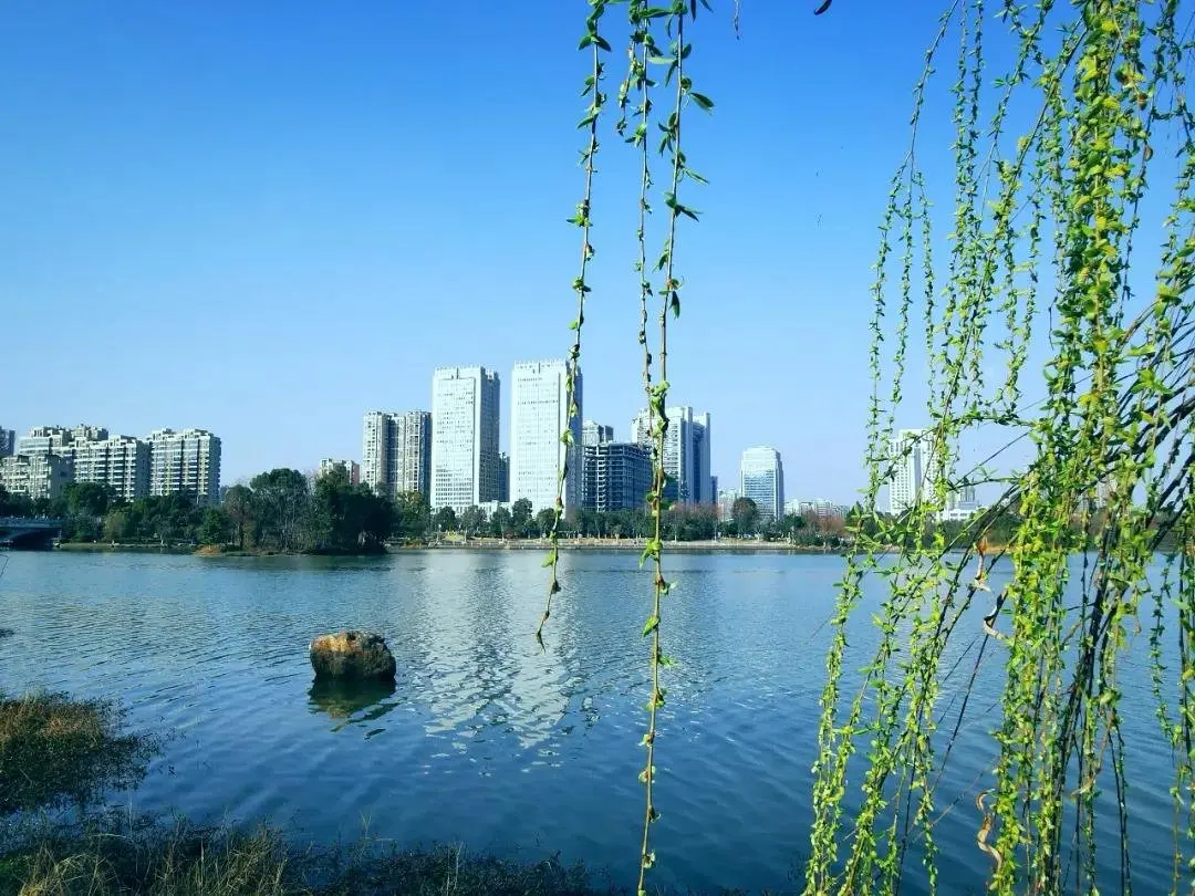 祝贺庐陵人文谷奠基7周年，乘风破浪扬帆远航！