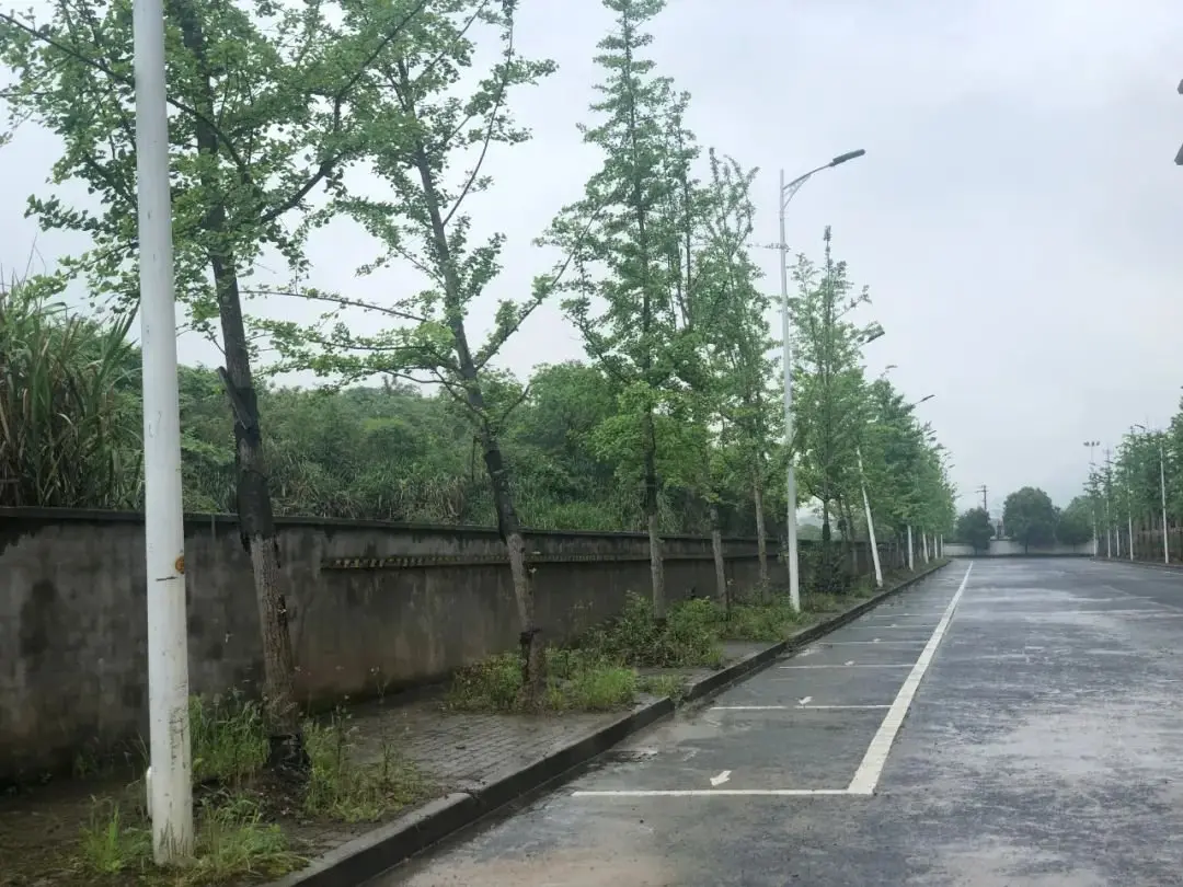 常山也限地价+竞配建了！阳光名都北侧地块推出！