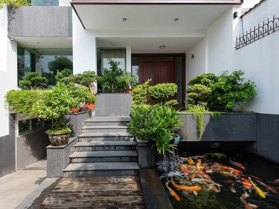 庭院别墅就缺这样的入户景观家家门口挖水景搭配汀步才有感觉