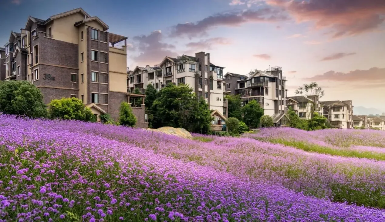 看房记俊峰山万里利好兑现首付28万起买磁器口现房别墅