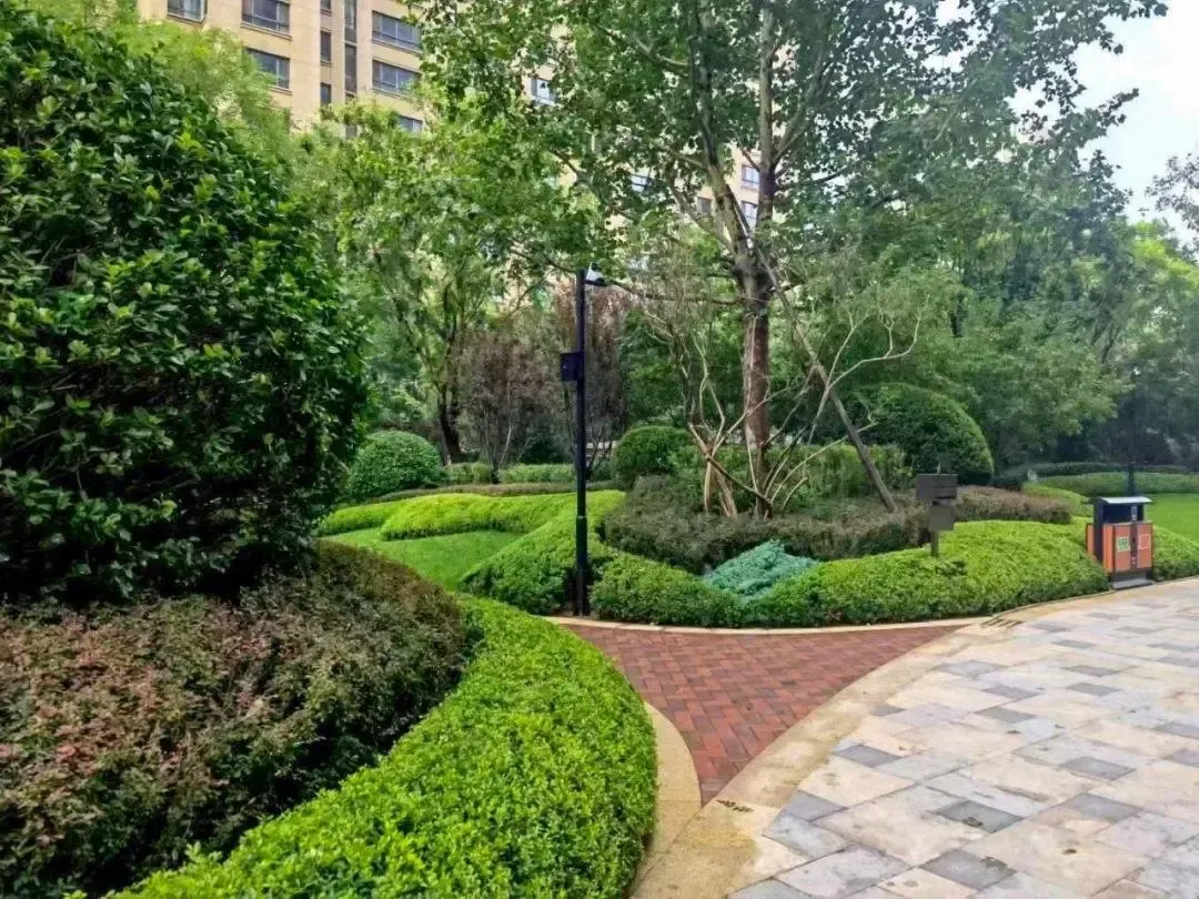 匠心不负丨唐城壹零壹三期ab区荣获2020年度安济杯奖