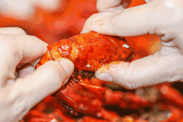 东都·遵南首府 | 舌尖上的美食 小龙虾饕餮盛宴