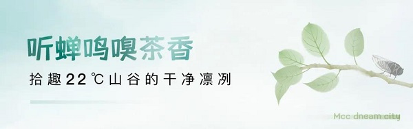 22℃清凉避暑之《山》篇|告别39℃热浪，闯进22℃山林~