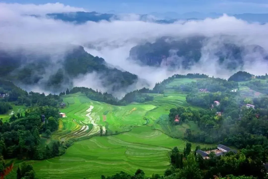 利川避暑城居拥抱22的清凉