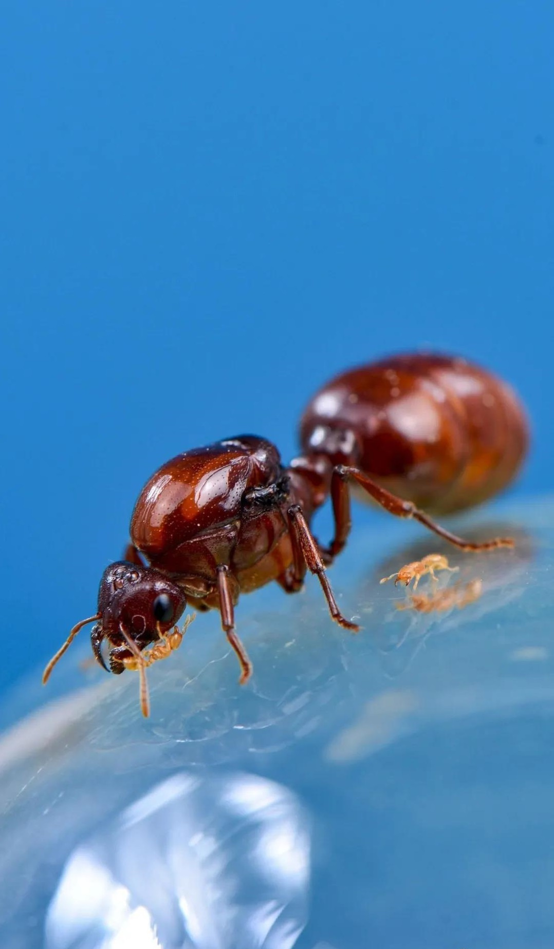 生物多样性摄影照片图片