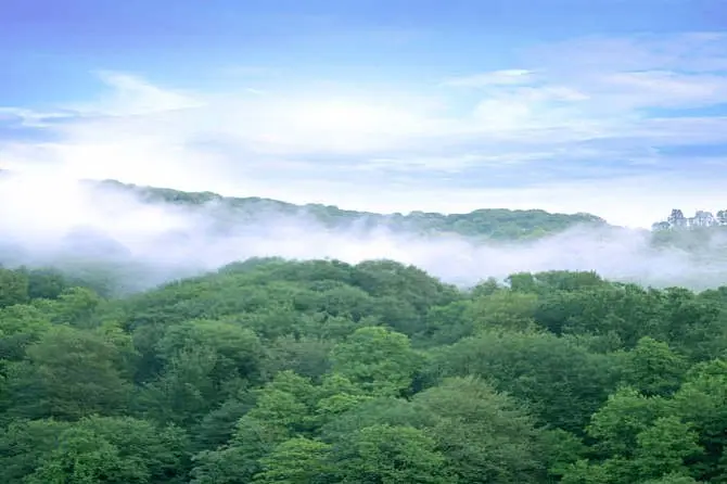 鸿景·天悦|城市中央,天然氧吧