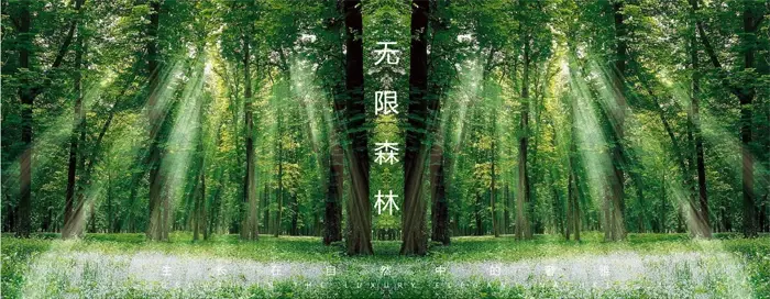 现代·森林国际城|北苑：景观园林里，藏着舒居生活日常~