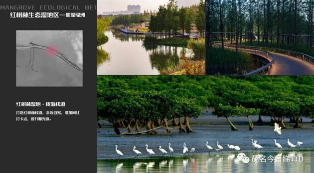 茂名电白水东湾滨海公园概念方案图首次曝光！