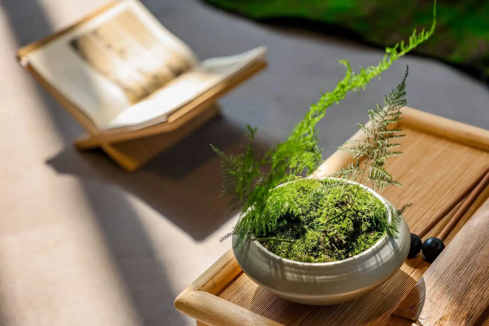 ta的闲适自在生活中建宸庐宸雅会第2期圆满落幕