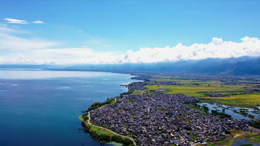 COP15·走进苍山洱海 | 领略苍山洱海生物多样性之美