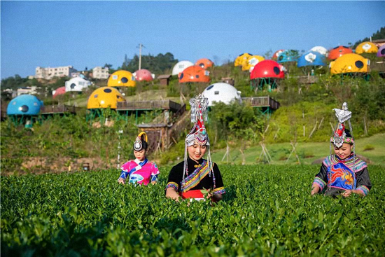 东山与漳州旅投合作签约！将打造东山国际旅游岛……