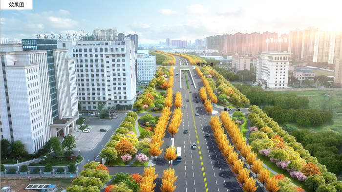 总投资1439万！下个月开工东城区这条道路即将改造！