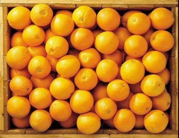 橙蒙厚爱，感恩相伴|筑城·西江樾万斤鲜橙免费送！