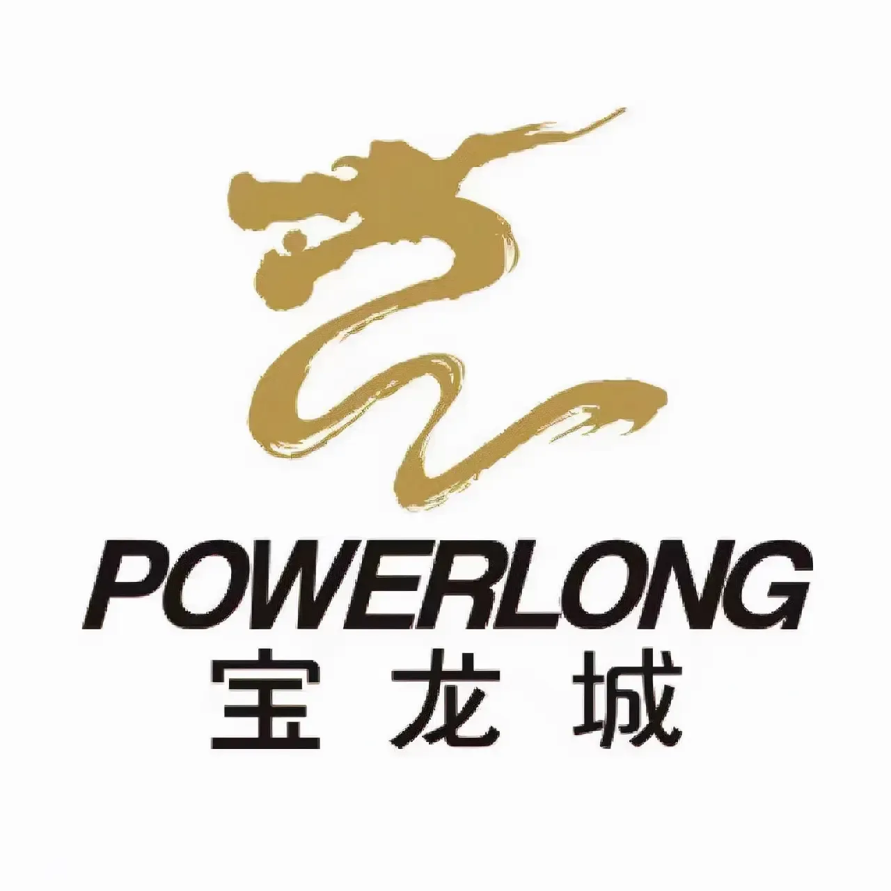 2年后开业中山宝龙城商业正式动工阿丁莱也表态明年开学