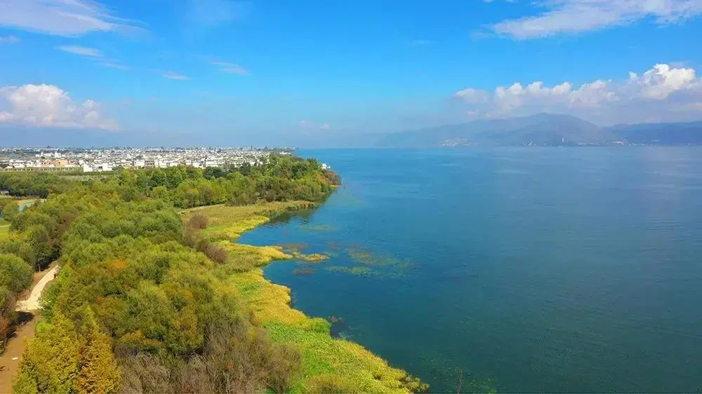 大理洱海生態廊道榮獲2021年la風景園林獎生態貢獻獎