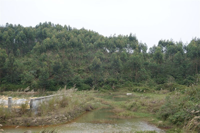 土拍|12月17日钦州5宗城镇住宅、商服用地均因无人报价流挂