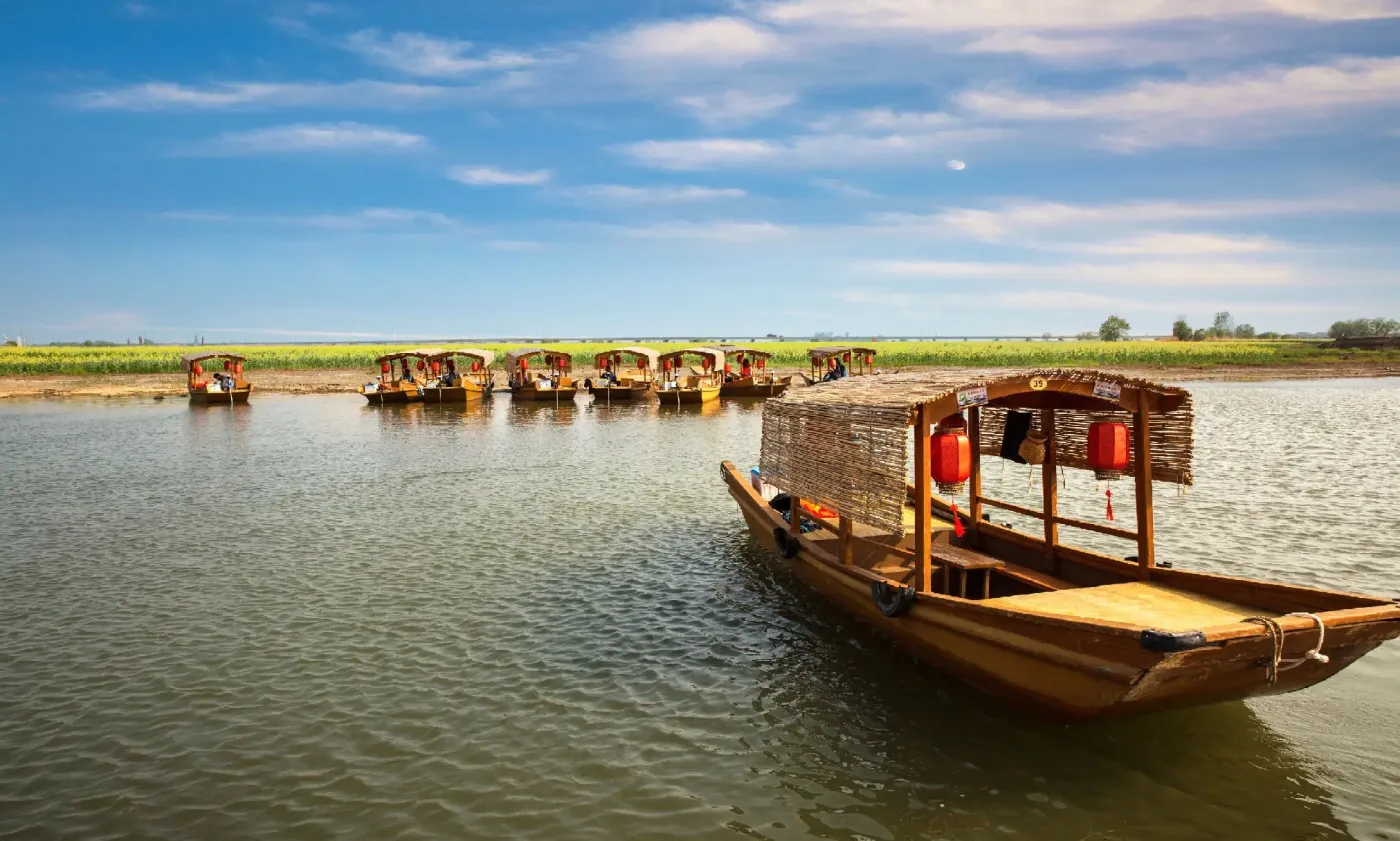 高邮湖上花海即将开园 邀您徜徉"湖上金毯"-扬州新房网-房天下