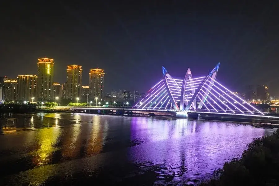 聊城大桥夜景图片图片