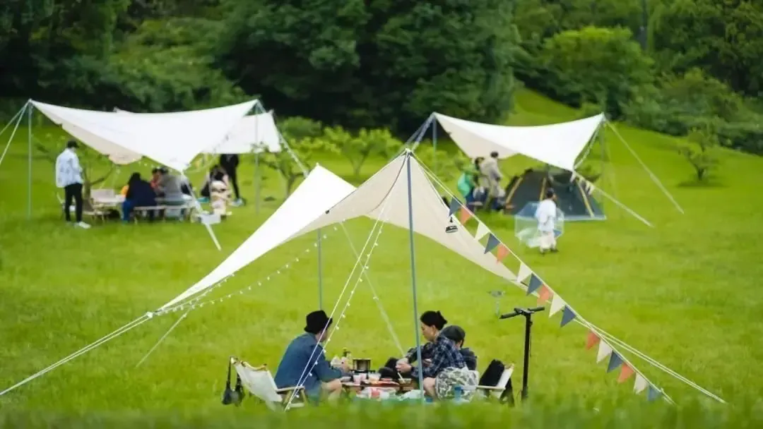 成都露营的天花板来了这样的桃花源谁不爱