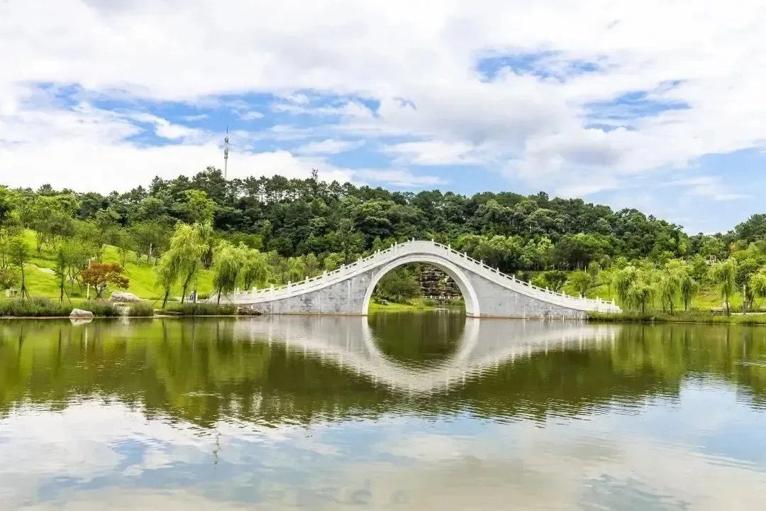 配套中,最值得一提的,就是紧挨小区的田家炳沙湖绿洲小学和一路之隔