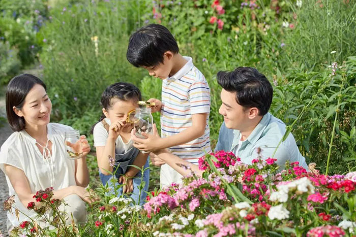 金科·御府丨一处森居，藏着你向往的夏天