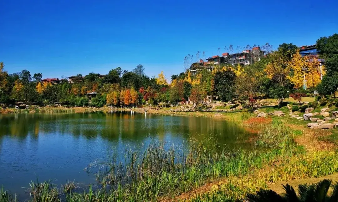 引入省级产业强势新引擎中铁国际生态城助力强省会融城发展