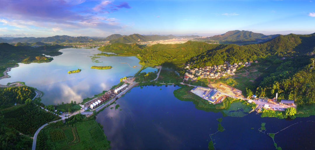 皂李湖村整体规划图片