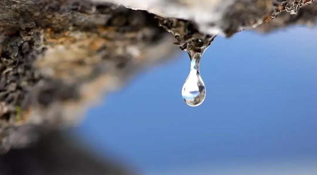 重庆科学城核心惊现洋房新物种