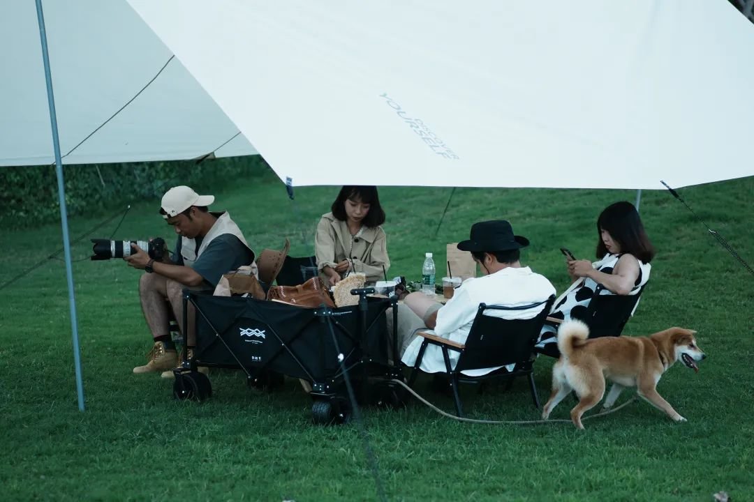 那山那海 | 云南首家大热荒野露营地正式开营，你可以像这样“野”在山里