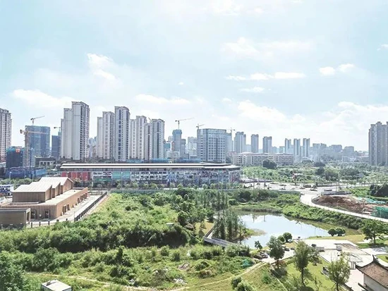 预计元旦开放！漳州西湖生态园景观工程核心区加速推进