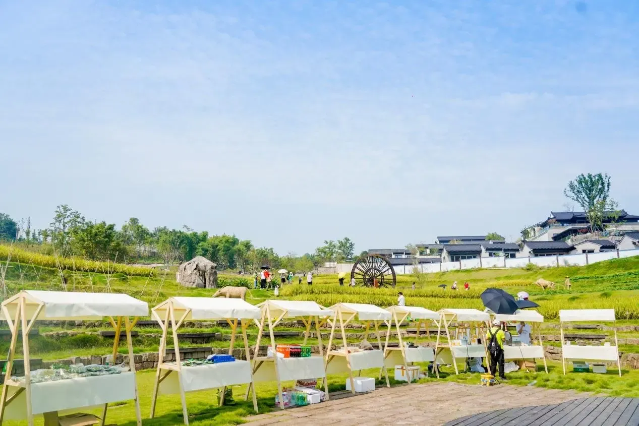 蓝城两江·田园牧歌第三届田园艺术节即将启幕,游玩活动全解析!