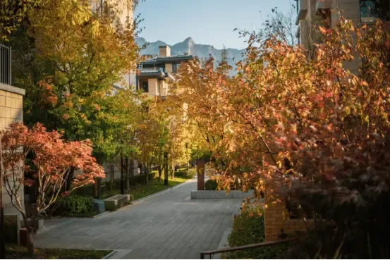 檀谷慢闪公园|跟着他们的私藏赏秋路线，住进西山最美花园社区吧！ -房产资讯-房天下