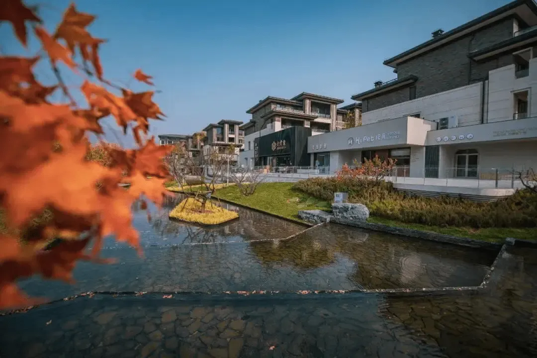 檀谷慢闪公园|一个字一团火，照亮常住常新的家 -房产资讯-房天下