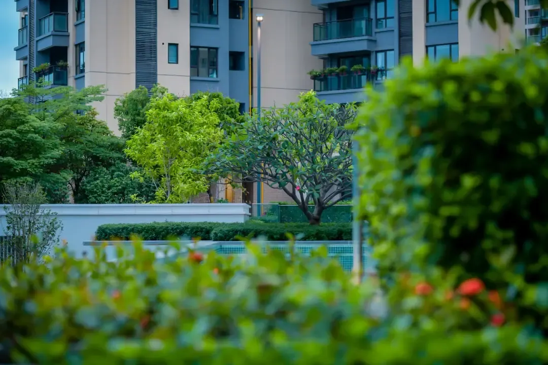 牧云左岸公馆夏日限定美景脚步定格只是因为多看了你一眼