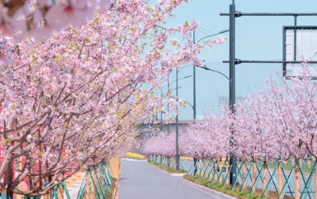 微信截图_20230317165041.png