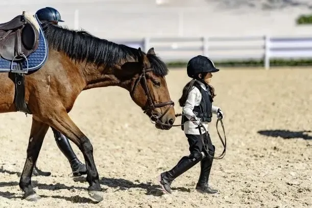 贵阳国际马术运动中心骑手在2023北京"上林"up联赛再传捷报!